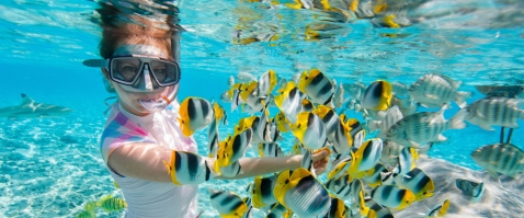 snorkeling-in-white-beaches